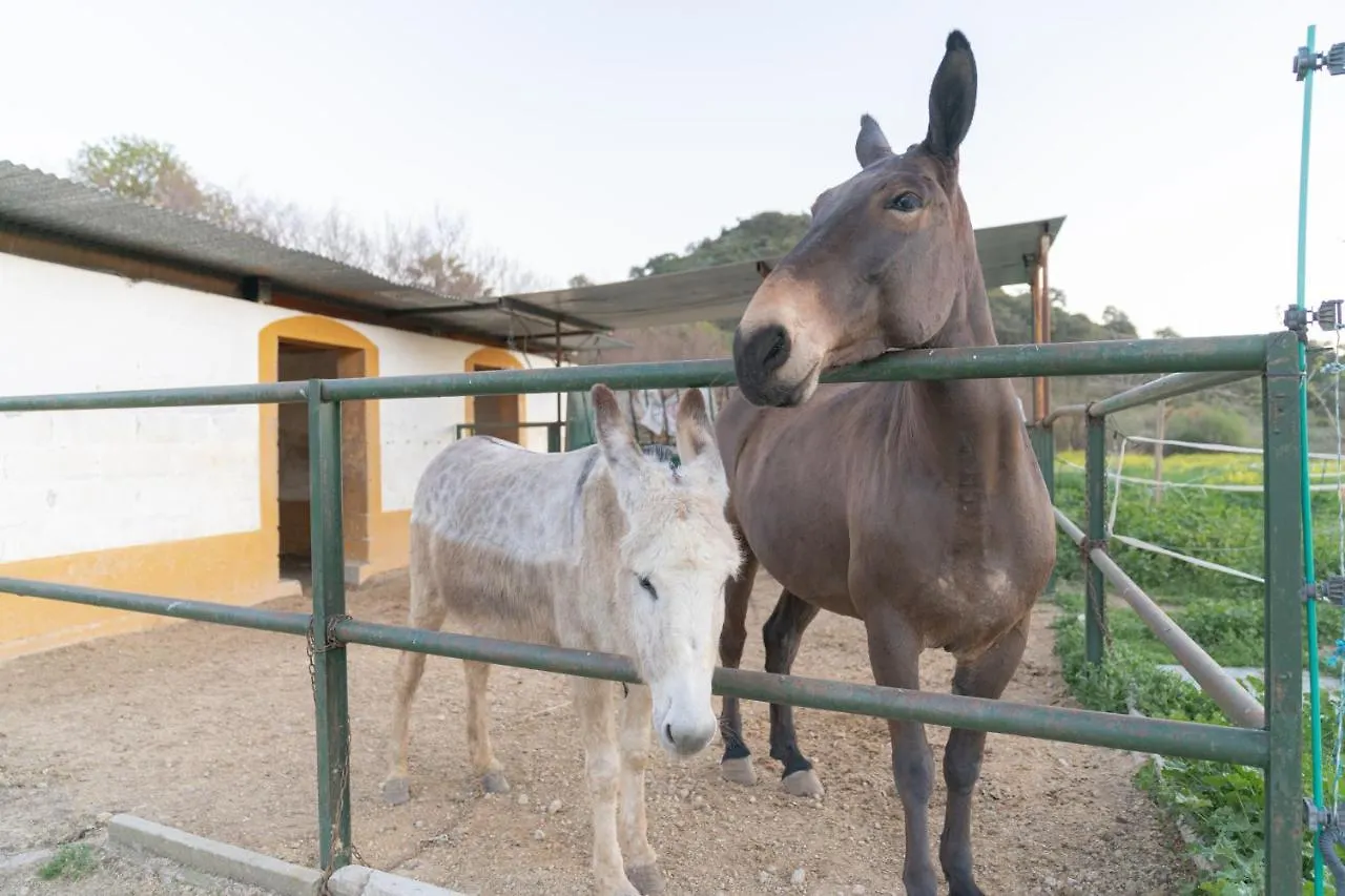 Alojamiento Rural Junto A Via Verde Olvera Spain
